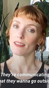 257K views · 6.6K reactions | @mashable asked if I would make a short tutorial with them, and here we are! This is how I’ve done things, but I’m sure there are many ways to be successful that aren’t covered here. Hope this helps a little bit. • • • Also, don’t know if you’re aware, but @hunger4words is writing a book right now that I’m certain will have a million helpful tips. I’ll be sure to link to it when it’s available | Whataboutbunny | Facebook