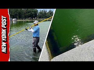 National Park Service Using Hydrogen Peroxide to Clean Reflecting Pool Algae