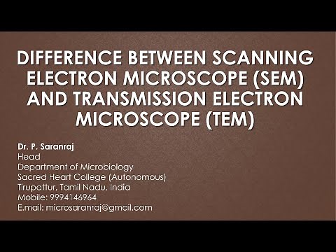 Difference between Scanning Electron Microscope (SEM) & Transmission Electron Microscope (TEM)