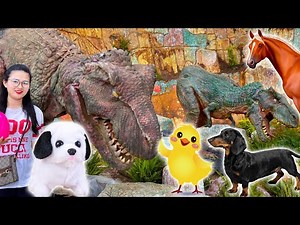 Changcady đi chơi trang trại các con vật, cho các động vật ăn: con chó, ngựa, nhím - Part 411