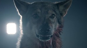 There's tension in the air and wolves roaming the lacrosse field on Sunday, July 30th at 8/7c on Teen Wolf. | Teen Wolf