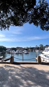 3.4K views · 179 reactions | Two wheels and endless #Lowcountry adventures   New to Hilton Head Island? With 60 miles of multi-use trails connecting you to everywhere you need to go, there's no better way to explore at your own pace than by bicycle! IG: brynmanion | Visit Hilton Head | Facebook