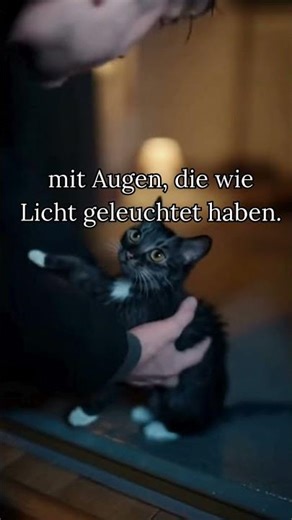 Deutsch lernen mit Geschichte #deutschkurs #liebe #deutschlernen