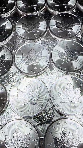 Sea of Silver Maples… This Is Why I Stack