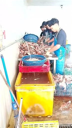 proses filet ikan patin #shorts