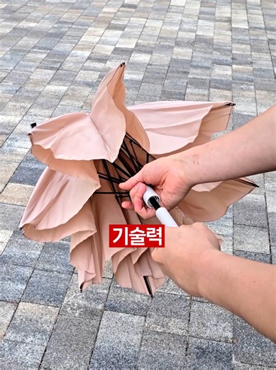 기술력 미쳤다는 일본ㄷㄷ @intro_tip 🥊프로필링크에서 번호로 검색가능! 일본꿀템모음 769번 ────────────────────── ☂️ 버튼 한 번 똑딱하면 알아서 착착 접히는 우산! 써보면 진짜 신세계입니다. 비 오는 날 손으로 우산 말 필요도 없고 차 타거나 가방 넣을 때 물 튀는 스트레스가 확 줄어들어요,, 오죽하면 제가 우산 똘똘 마는 법을 까먹었을 정도예요 ㅋㅋ ✂️ 쪽집게 유목민이셨던 분들, 이제 정착하셔도 됩니다. 장인 기술이라는데 진짜 얇은 털도 잡혔다 하면 미스 없이 한 방에 컷입니다. 힘 안 주고도 정확하게 집히니까 눈썹, 잔털 정리할 때 괜히 여러 번 집을 필요가 없어요. 엄한 거 여러 개 쓰지 말고 이거 하나로 끝내세요ㅋㅋ 🍚 요즘 제일 뽕 뽑고 있는 아이템ㅋㅋ 쓴 지 거의 세 달 다 돼 가는데 아직도 만족도 높아요. 겨울에 손 시려운데 물에 손 안 담그고 쌀 씻을 수 있다는 게 이렇게 큰 행복인지 몰랐습니다. 🍽️ 요리 크게 관심 없는 자취생 