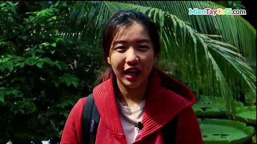 Du lịch Cồn Sơn Cần Thơ | Review A-Z và kinh nghiệm đi tự túc