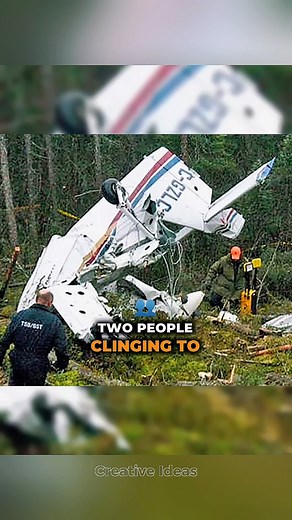 79K views · 1.7K reactions | Drone Accidentaly Found The Remains Of A Missing Plane #story | 퐂퐫퐞퐚퐭퐢퐯퐞 퐈퐝퐞퐚퐬 | Facebook