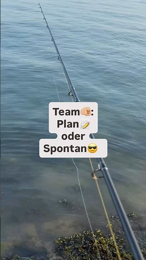 Spontan oder doll lieber mit Plan beim Angeln auf dicke Wolfsbarsche? #angeln #wolfsbarsch #fishing