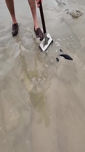 melhores achados com detector de metais na praia | ginho da selva