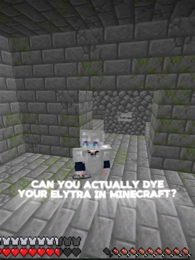 Can you DYE Elytra in Minecraft? 😱 #minecraft #myths
