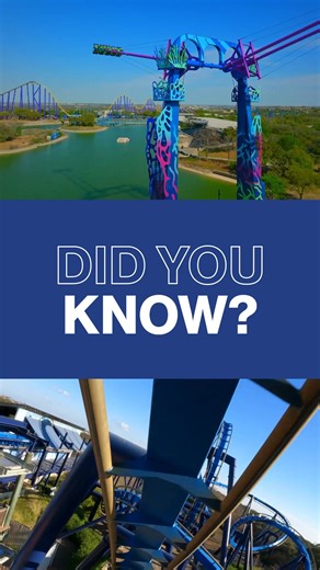 Save up to 50% on tickets and passes to SeaWorld! Enjoy thrilling coasters, animal connections, and amazing events! | SeaWorld San Antonio