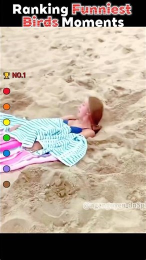 Ranking Most Dramatic Chicken Moments