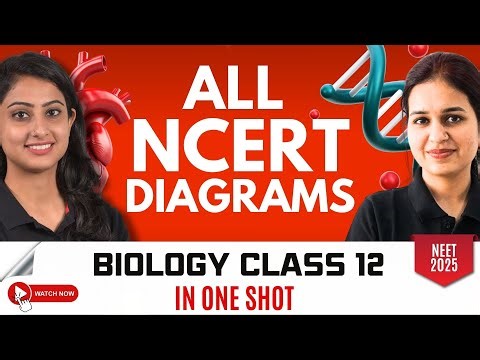 All NCERT Diagrams in One Shot | NEET Biology | Class 12 | NEET 2025