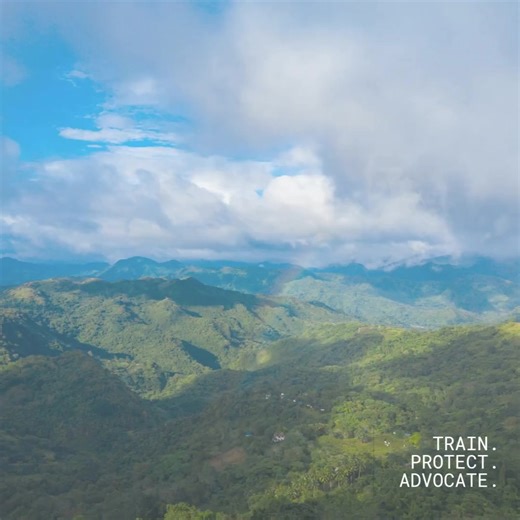 ᴇᴀʀʟʏ ʙɪʀᴅ ʀᴀᴛᴇ extended until December 3 only! Are you passionate about making a real difference for our planet? At Environmentors, we empower you with the knowledge and skills you need to protect our environment effectively. By registering with us, you're not just gaining an education—you're joining a movement. Together, we can create a healthier, more sustainable world for future generations. Join a community of future eco-leaders learning the latest in pollution control, environmental laws, 