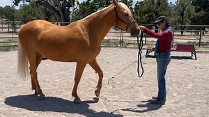 10K views · 103 reactions | Park Out -is an easy move to teach and...