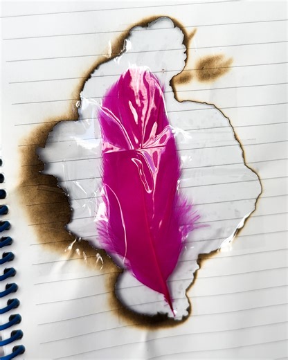 81K views · 272 reactions | Turning a simple feather into art 襁 | Bloom | Facebook