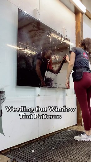 Shade9 Tinting & Coatings on TikTok