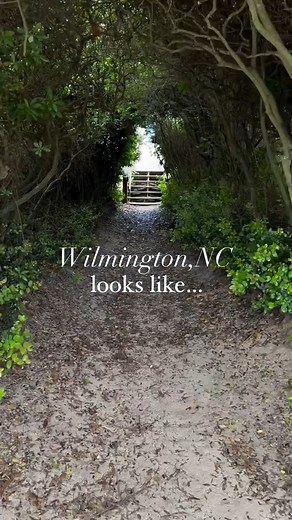 If you’re wondering what Wilmington, NC looks like, here’s just a glimpse. Celebrate National North Carolina Day by diving into the best of both worlds—a historic riverfront city and scenic island beaches! 🌊🌆 📷@mcclainerealty | Visit Wilmington, NC and Beaches