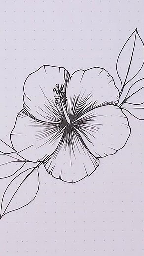 How I draw the hibiscus flower