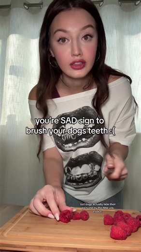 Effective Dental Care for Dogs: Tips for Healthy Gums