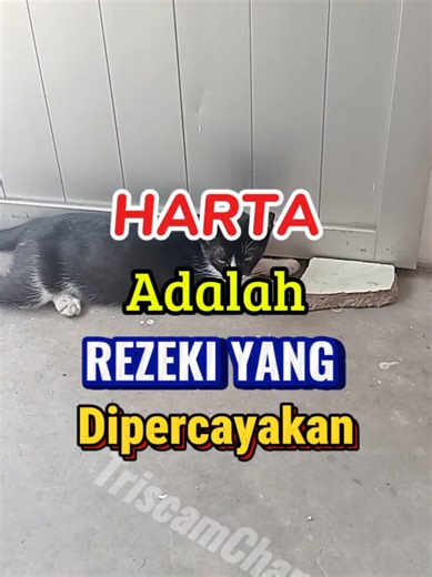 #CapCut #triscamchannel #tetapsemangat