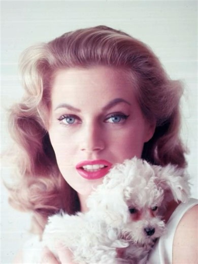 Tributo a Anita Ekberg (1931 - 2015) foi uma atriz, miss, modelo e sex symbol sueca da década de 60