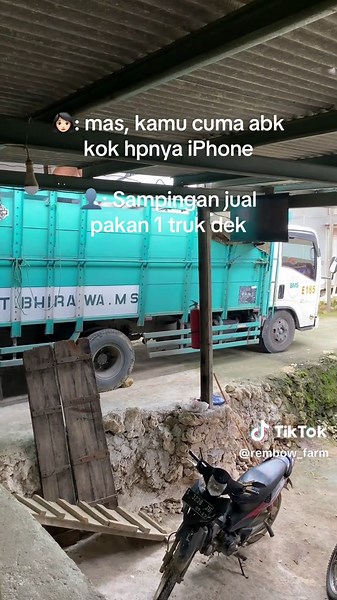 10 sak ae wes cukup #rembow_ #99gank_ #petrnakmuda #ayambroiler #kandangclosehouse #bhirawams