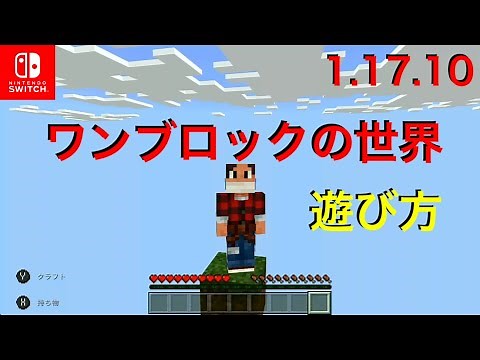 【マイクラ統合版】任天堂スイッチ版 1.17.10 対応 ワンブロックの世界 遊び方【Nintendo Switch MineCraft Bedrock Edition】