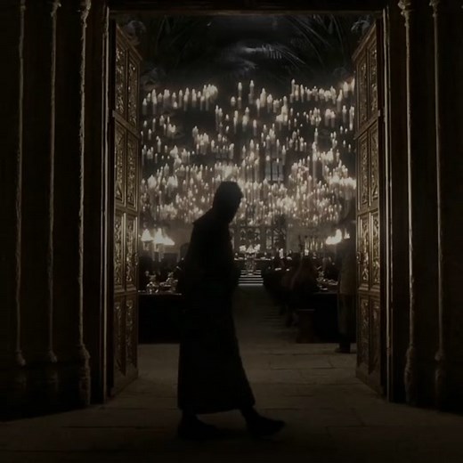 Professor Tom Riddle #tomriddle #tomriddletok #tomriddleedit #harrypotter #fyp #foryoupage