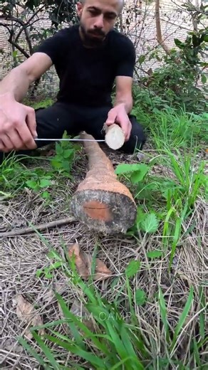 DIY - Smartest Way to Peel Tree Bark!🪵