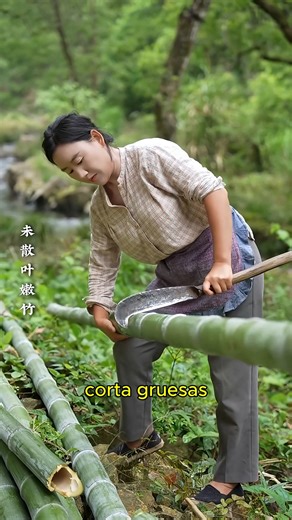 Carizo el investigador on Instagram: "Esta Mujer Crea Papel Con Bambú 😍 #fblifestyle"