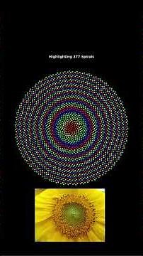 Nature’s Hidden Codes: Part 1: The Golden Ratio