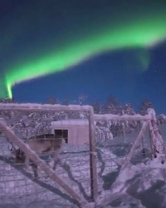 10K views · 252 reactions | Mit wem möchtet ihr die Polarlichter sehen?殺 Aurora Borealis Observatory, Norwegen @auroraborealisobservatory | Travelzoo | Facebook