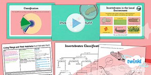 Science: Living Things and Their Habitats: Invertebrate Hunt Year 4 Lesson 3