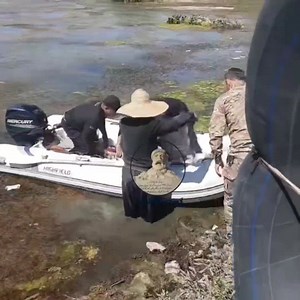 30K views · 2.1K reactions | سەیری حەسرەتی ئەم باوکە بکەن، دڵبەرگە ناگرێت چۆن تەرمی کورەکەی ماچ دەکات.. ساتی دۆزینەوەی تەرمی شەهرام کە ٧ ڕۆژبوو لەنێو ئاوی زێی بچووک مایەوە.. | Kurdish News | Facebook