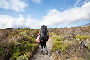 I Hiked All 19,341 Feet Up Mount Kilimanjaro — Here's What It's Like