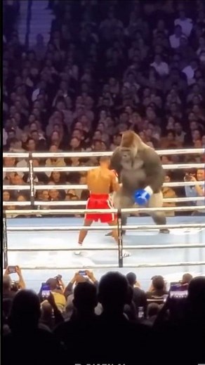 UNBELIEVABLE! 🦍 Man Fights Fully Grown Gorilla in Boxing Ring 🥊🤯 (The Knockout!) #martialarts
