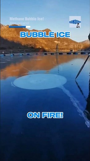 Methane Bubble Ice On Lake!