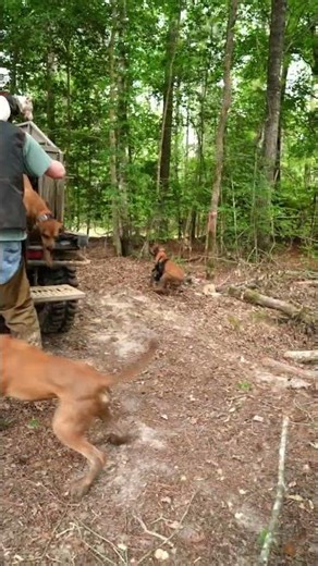 Just some of the pains I go through to get footage for yall. We break stuff constantly.