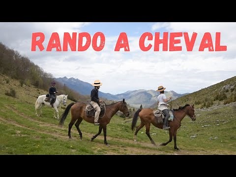RANDO CHEVAL