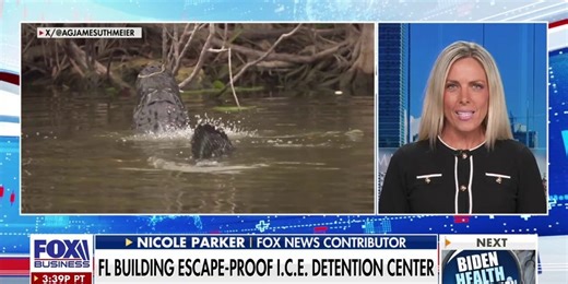 Former FBI special agent reveals whether she gives 'Alligator Alcatraz' a thumbs up