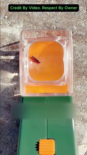 The perfect tool for catching insects without touching them.