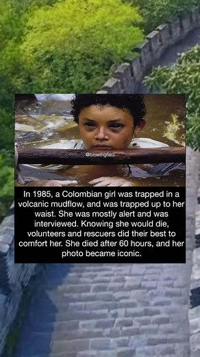 Historical Facts: The Story of Sinking Girl Stuck in Mud