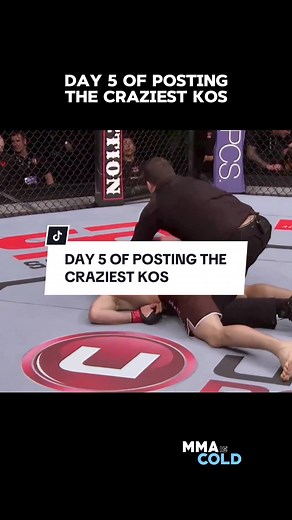 Cung Le Shocks MMA World with Devastating Knockout of Rick Franklin