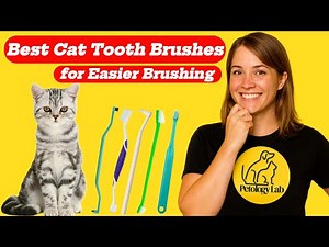 7 Best Cat Toothbrushes for Easier Brushing in 2025
