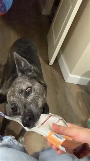 Fabel on Instagram: "UP THE CREEK 5-8 Feb 🍉🎸🏞️ @upthecreek_festival Ek is by die food court stage curated by @thekayacafe Saterdag!! Grab daai laaste paar kaartjiesn kom ons swem saam! Onthou!! Bly weg van glas bottels af! Plastieeeek pleaseeee #upthecreek #upthecreek2026"