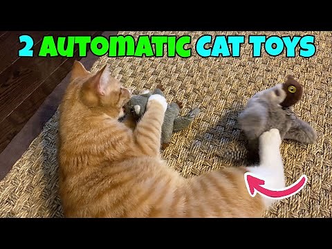 2 Addictive Cat Toys; Motorized Flapping Bird & Flying Squirrel 🐈 Gadgetify