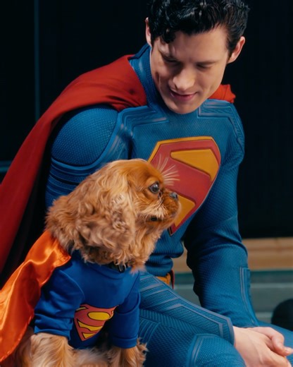 703K views · 26K reactions | Making National Bring Your Dog to Work Day super special. ✨ Get tickets now: https://fandan.co/Superman-Social | Superman | Facebook