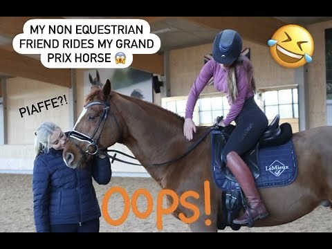 MY NON EQUESTRIAN FRIEND RIDES MY GRAND PRIX HORSE ||